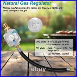 10FT Propane to Natural Gas Conversion Kit for Weber Genesis, Genesis II, Spirit