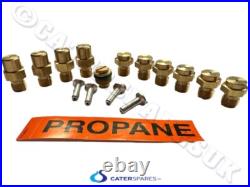 BLUE SEAL 231910 Oven Range Gas Conversion Kit Nat to LPG Propane G506 G56 Etc