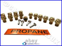 BLUE SEAL 231910 Oven Range Gas Conversion Kit Nat to LPG Propane G506 G56 Etc