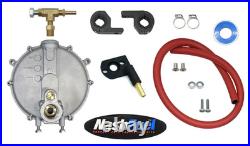Low pressure Propane Natural Conversion Kit Generator Fits APP6000 OHV13H 6000W