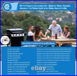 Natural Gas To Propane Conversion Kit for Weber BBQ Grill 5ft Hose & 36 Orifices