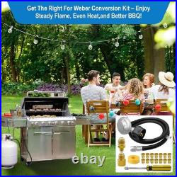 Natural Gas to Propane Conversion Kit for Weber Genesis, Genesis II, for Weber Spi